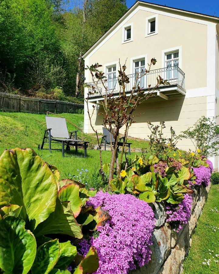 Hotel Garni Dekorahaus Bad Schandau Exteriör bild
