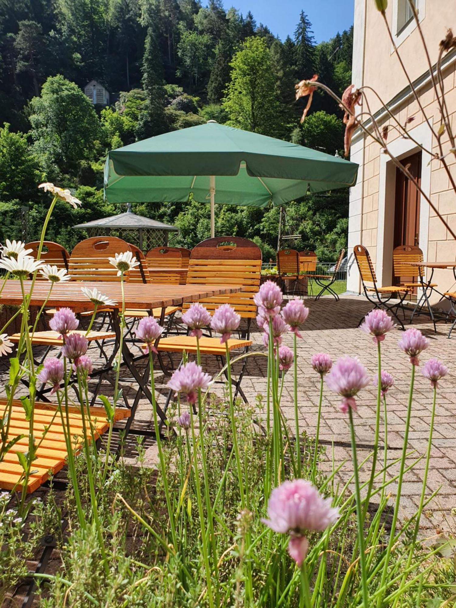 Hotel Garni Dekorahaus Bad Schandau Exteriör bild