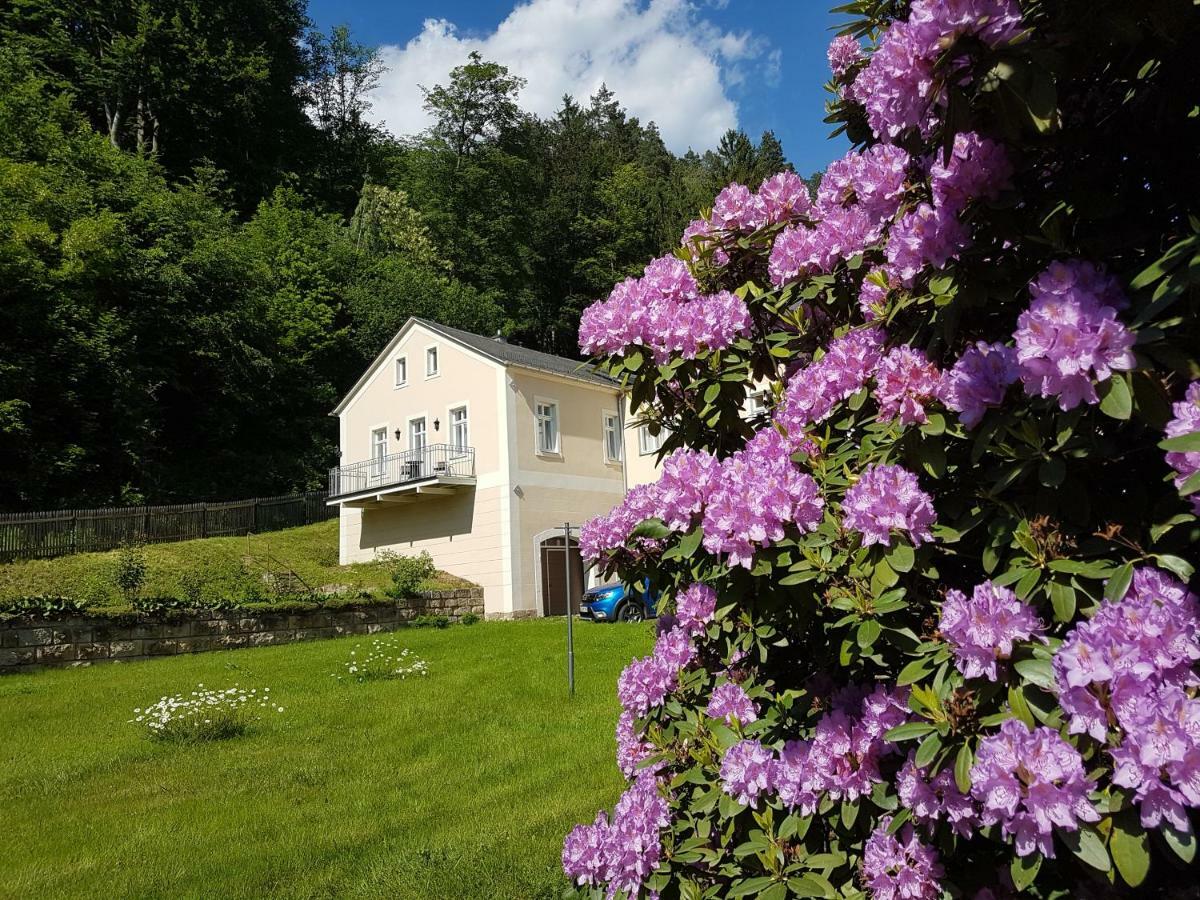 Hotel Garni Dekorahaus Bad Schandau Exteriör bild